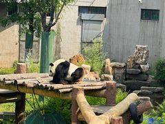 -沈阳森林动物园