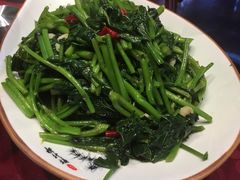 -红果树(江光店)