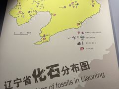 -辽宁古生物博物馆