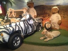 -济州岛泰迪熊博物馆