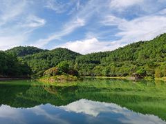 -广州白江湖森林公园