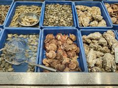 -渡海小渔村.老辈日照菜