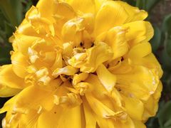 -飞鸿肉夹馍(浐灞半岛店)