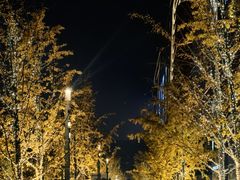 -阿嬷手作(上海万象城店)