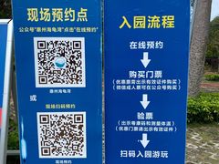 -广东惠东海龟国家级自然保护区