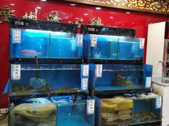 -渔意楼·驰名沙田乳鸽(五羊旗舰店)