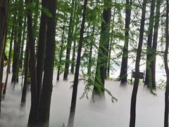 -东湖落雁景区
