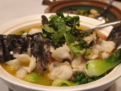 -莲苑中餐厅·Lotus Court(厦门马哥孛罗东方大酒店)