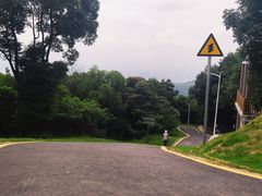 -黄埔油麻山森林公园