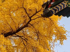 -承恩寺