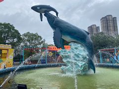 -海合安武汉极地海洋公园