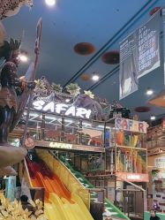 -卡通尼·Safari非洲探索乐园·生日会(金桥国际商业广场店)