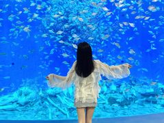 -合肥海洋世界