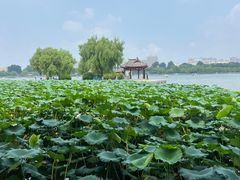 -济南大明湖景区