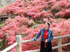 -木兰云雾山