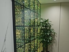 -W·24H茶楼·棋牌·掼蛋(望京店)
