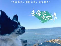 -长岛大黑山岛