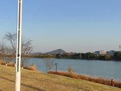 -羊山湖公园