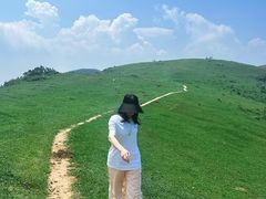 -大姆山草场