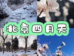 -北京凤凰岭