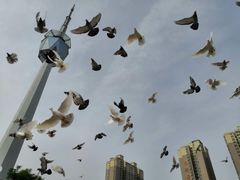 -陕西自然博物馆