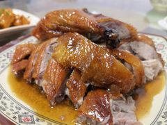 -聂记粤菜馆(鼓西路店)