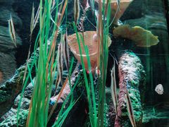 -沈阳海洋探索中心