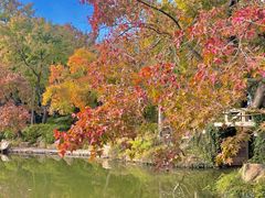 -西山人家·传统苏帮菜·家宴(木渎店)