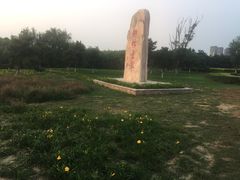 -蒲河岛湿地公园