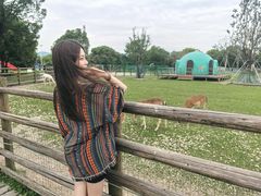 -苏州太湖西山岛开心农场