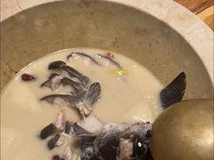 -云海肴云南菜·蒸汽石锅鱼(北京良乡华冠店)