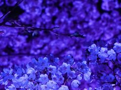 -西北湖绿化广场