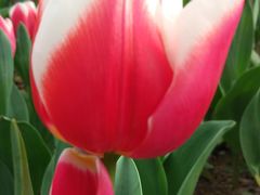 -无锡梅园公园