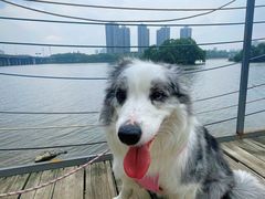 -长白岛森林公园