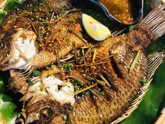 -云里小坐·小院里·团建·宴请·下午茶(三圣乡店)