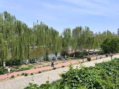 -南翠屏公园