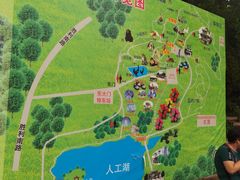 -南山公园