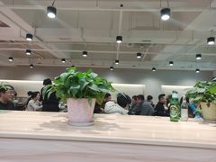 -老谢野馄饨(延安路店)