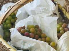 -马陆小张葡萄园农家乐