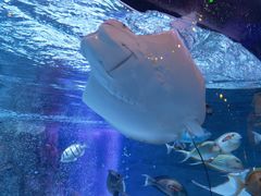 -沈阳海洋探索中心