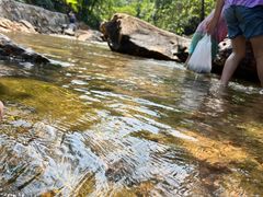 -广州白江湖森林公园