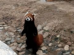 -临沂动植物园