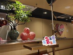 -海底捞火锅(赛格国际购物中心店)
