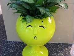 -莲花国际广场