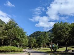 -姑婆山旅游区