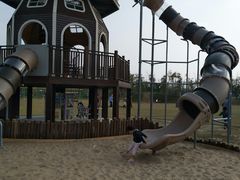 -上海长兴岛郊野公园