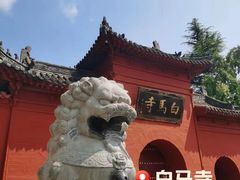 -洛阳白马寺