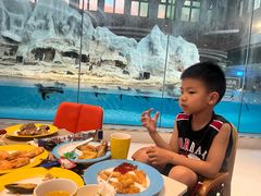 -帝企鹅自助餐厅•儿童岛•真企鹅(长隆企鹅酒店)