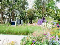 -深圳国际园林花卉博览园