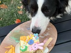 -J Create城市露营咖啡·简餐·宠物(上海动物园店)